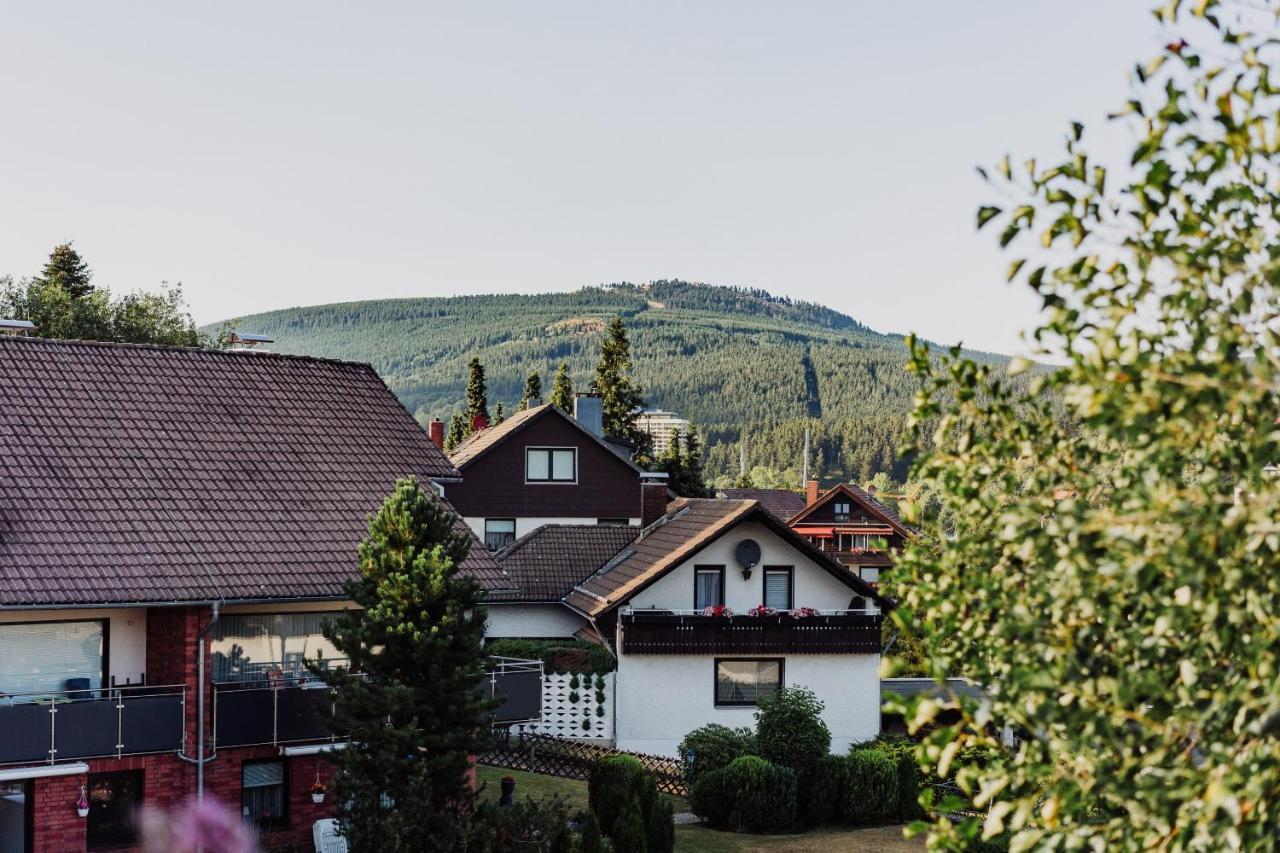 Hexe I - Mit Blick Auf Den Wurmberg *